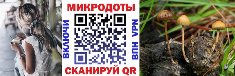 Галлюциногенные грибы GOLDEN TEACHER Энгельс
